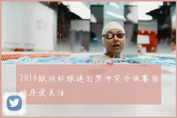 2016欧洲杯球迷打架冲突升级赛场秩序受关注