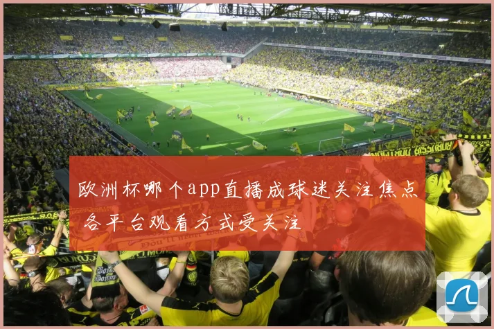 欧洲杯哪个app直播成球迷关注焦点 各平台观看方式受关注