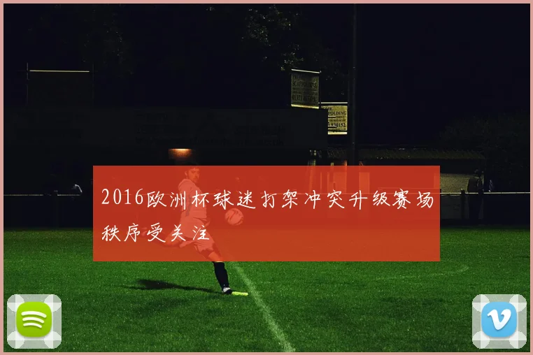 2016欧洲杯球迷打架冲突升级赛场秩序受关注
