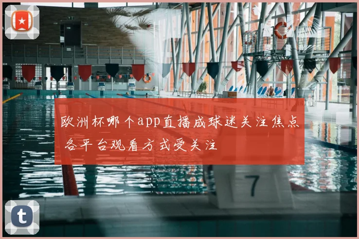 欧洲杯哪个app直播成球迷关注焦点 各平台观看方式受关注