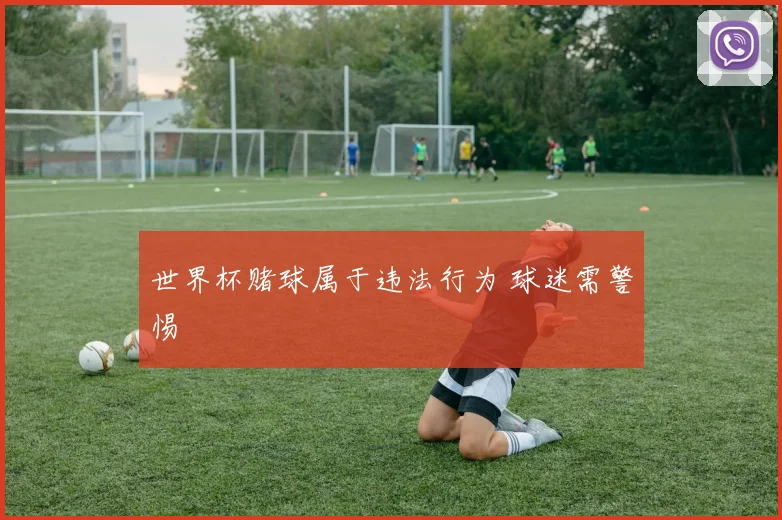 世界杯赌球属于违法行为 球迷需警惕