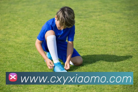 世界杯平台官网登录发展历程